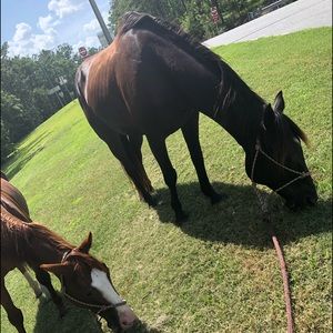 Meet your Posher, Hayden